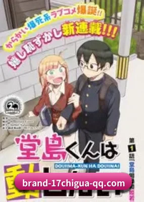 全新启航