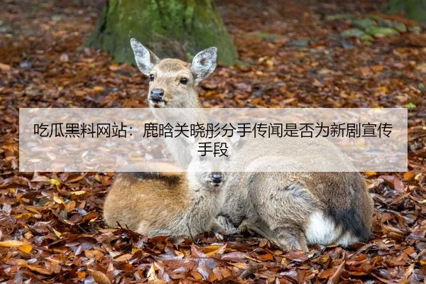 img_1792430336282_95_1_115.jpg